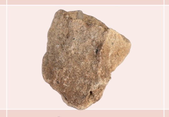 <p>SDMT</p>