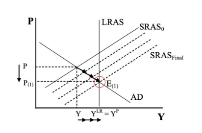 <ul><li><p>Transition in the LR occurs automatically</p></li></ul><p></p><ul><li><p>Due to the recessionary gap, there is less demand for labor, laborers have less bargaining power, labor costs/ input costs decrease, downward pressure on prices, SRAS will shift right in the LR, returning to Y<sup>p</sup> </p></li></ul><p></p><ul><li><p>The problem? In a recession, individuals are suffering, and no intervention means the economy will take a very long time to self-correct because firms are typically reluctant to lower wages (and would rather lay off workers) so the adjustment across AD is very slow. <sup>  </sup></p></li></ul><p></p><ul><li><p>In this case, the price ends up lower in the LR equilibrium. </p></li></ul><p></p>