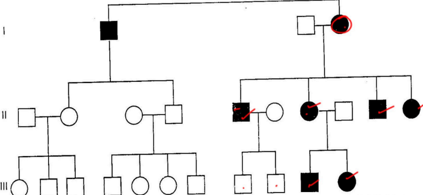 <p>When mitochondrial DNA is inherited from mother so if the DNA is infected, so is the offspring (one genotype to another)</p>