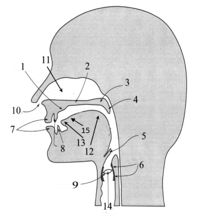 <p>1</p>