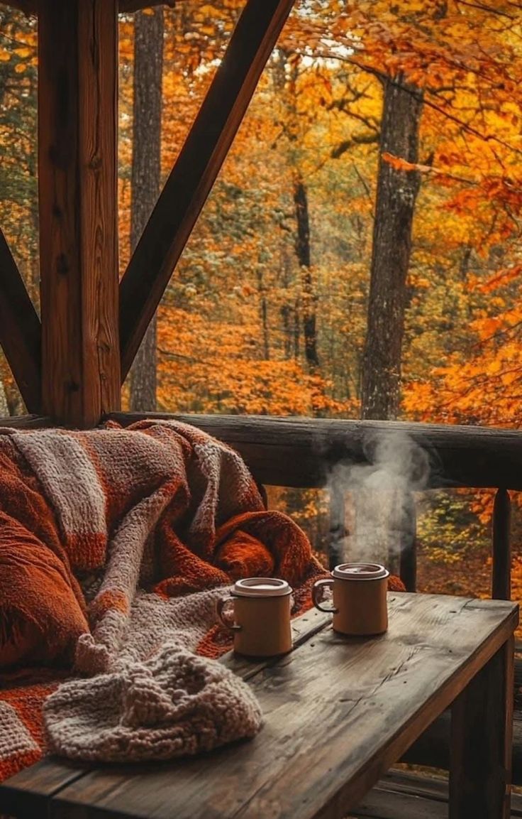 <p><span style="background-color: rgb(255, 255, 255);"><strong>Cozy</strong></span></p>