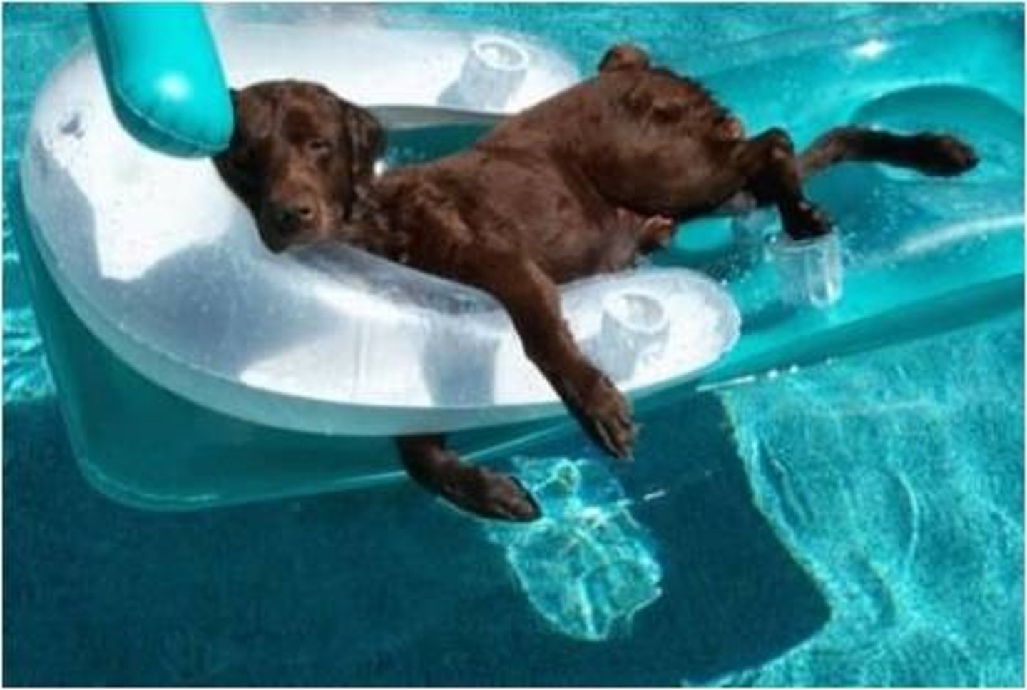 <p>lazy</p>