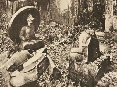 term image
