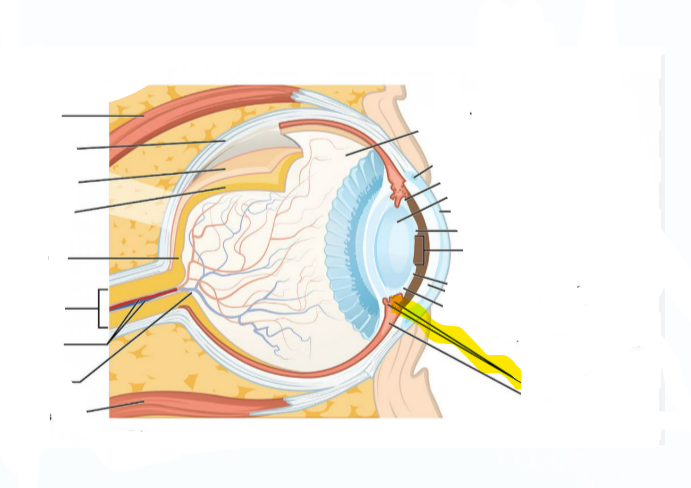 <p>What is highlighted</p>