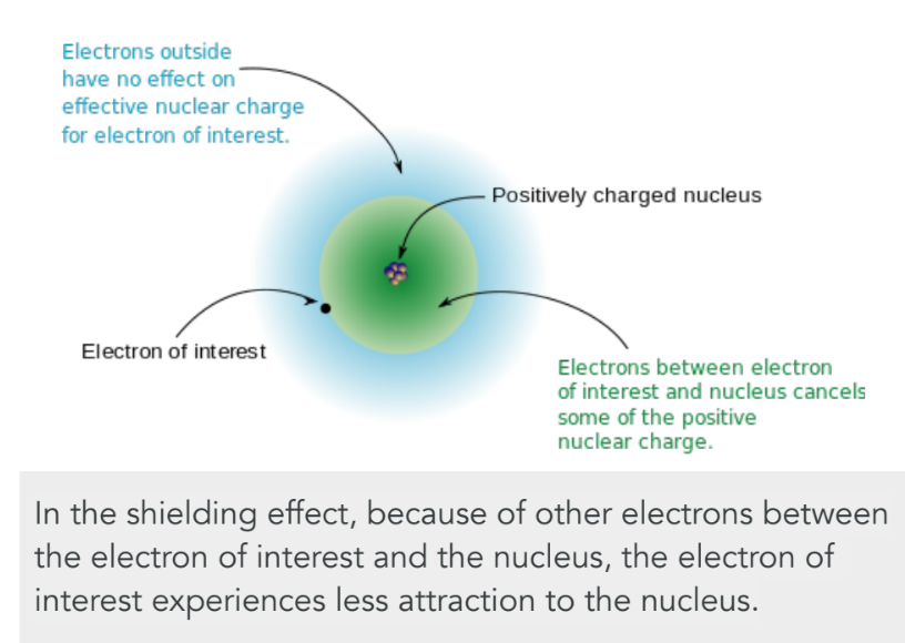<ul><li><p>amount of positive charge experienced by an electron in the outermost orbital (how tightly an e<sup>-</sup> is held by nucleus)</p></li></ul><ul><li><p>increases from L to R across a period and increases going down a group</p></li><li><p>Z<sub>eff</sub> = Z - S</p><ul><li><p>Z = # protons</p></li><li><p>S = # non-valence (shielding) e<sup>-</sup></p></li></ul></li></ul><p></p>