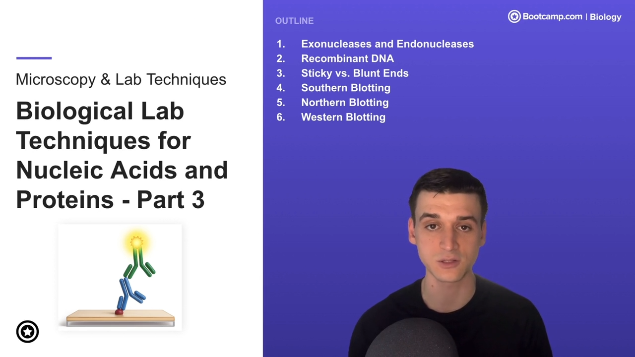 <p>southern blotting is for DNA</p><p>northern blotting is for RNA </p><p>western blotting is for proteins </p>