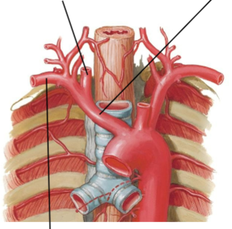 <p>Top left</p>