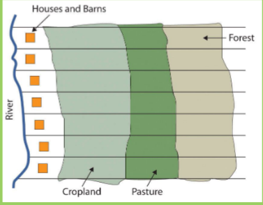 <p>What is Long Lot?</p>