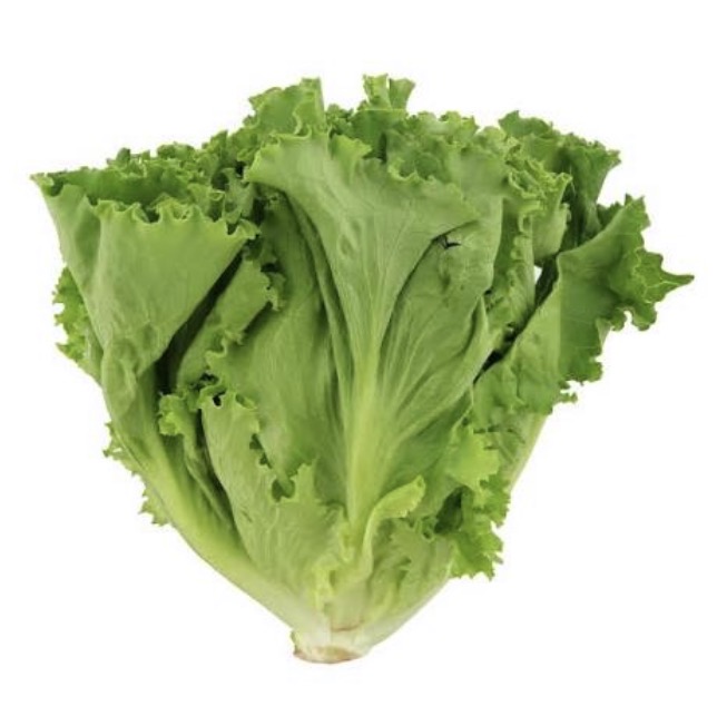 <p>Green leaf lettuce</p>