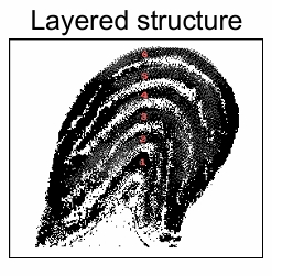 <p>• There are two – one for each side of the visual field. The LGN for the left visual field is found in the right hemisphere of the brain, and vice–versa. </p><p>• Projections from each eye are kept separate in contralateral layers and ipsilateral layers. </p><p>• Contains three different types of cells, corresponding to three different types of layers. </p><p>• Maintains a topographic mapping of the visual world – neighbouring cells have receptive fields that are nearby in the world. </p><p>• The receptive fields of the cells here are similar to those of retinal ganglion cells – round with a centre-surround organisation.</p>