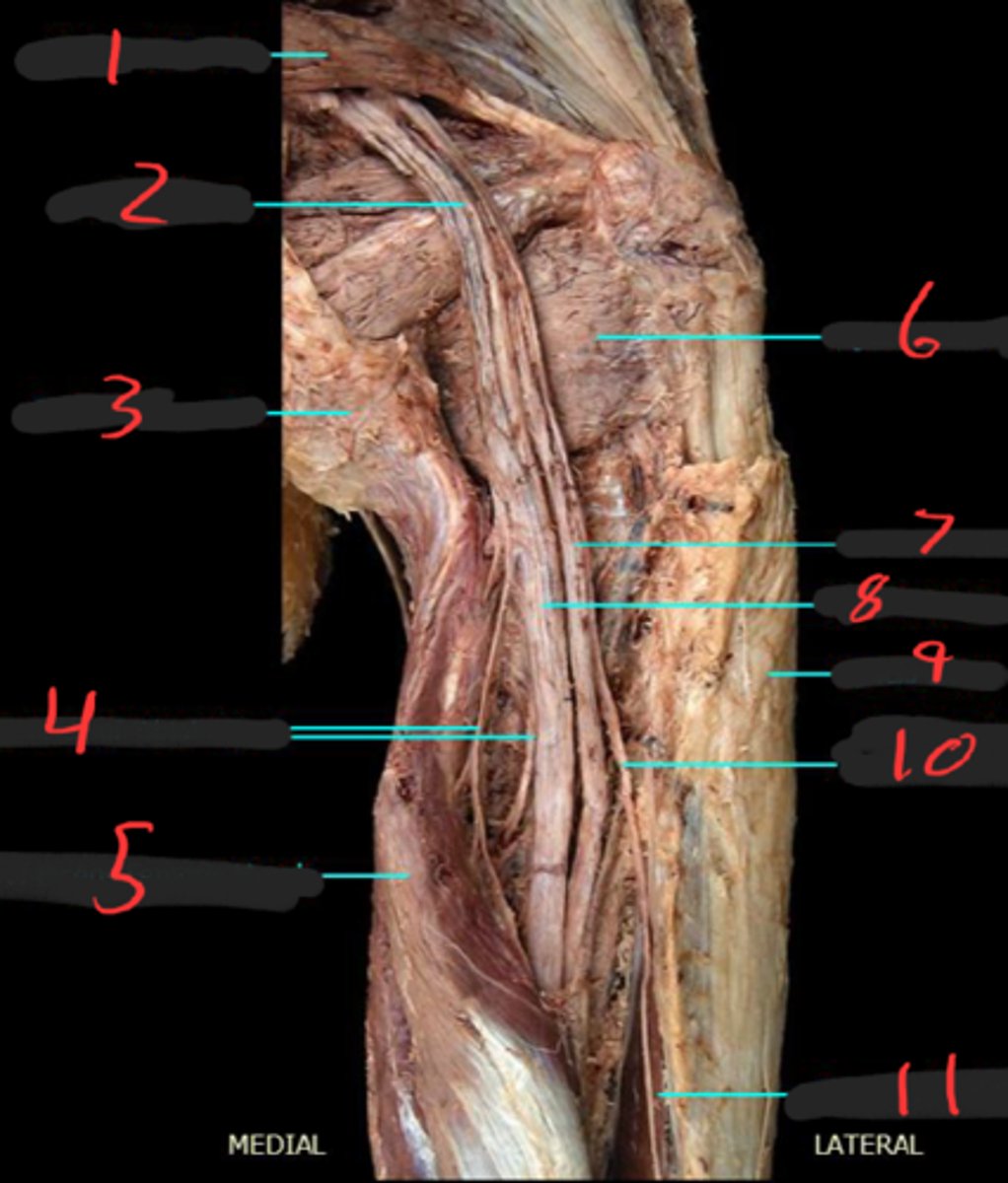<p>5</p>