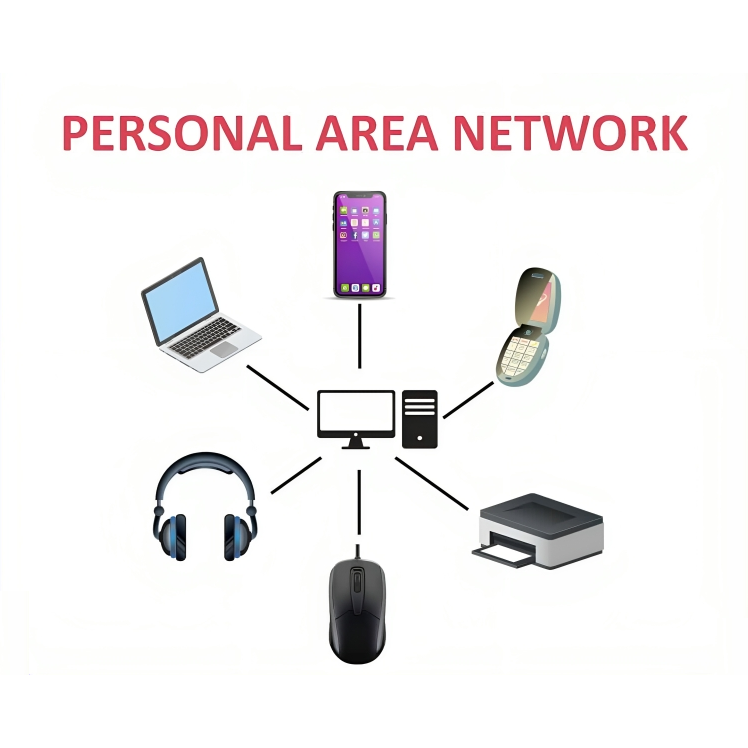 <ul><li><p>Smallest network type</p></li><li><p>Covers about 10 feet or less</p></li><li><p>Connection within arm’s reach</p></li></ul><p>Ex. Bluetooth and USB</p><p></p>