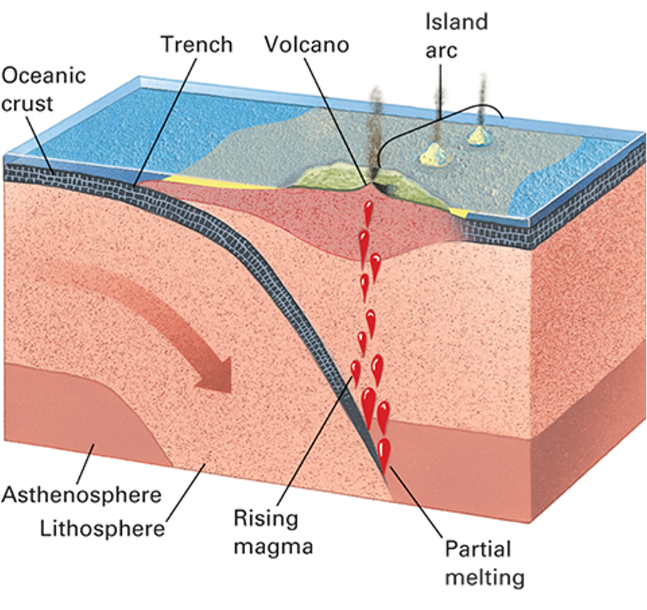 <p>what is happening in this picture?</p>