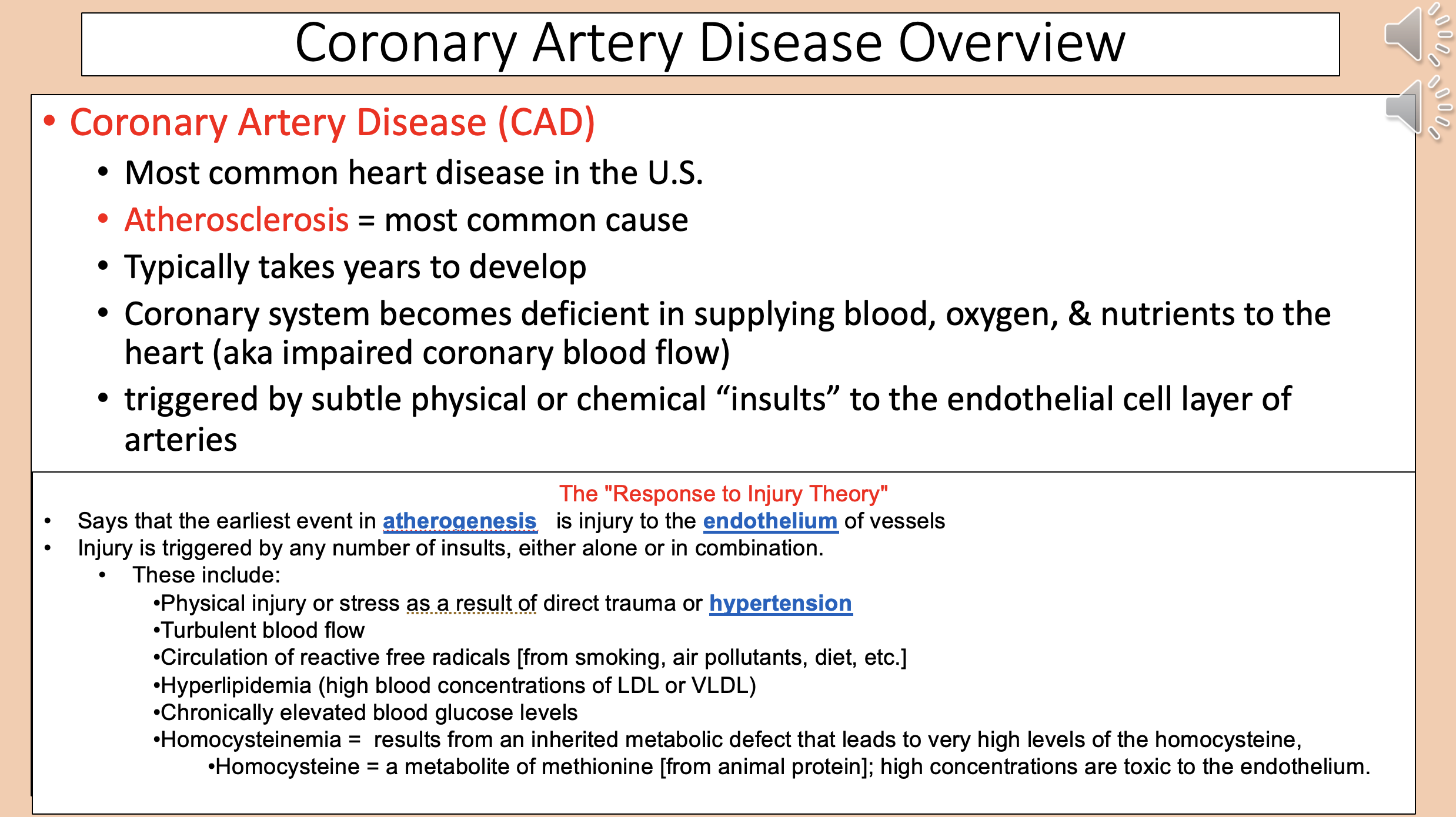 <p><span style="color: rgb(255, 0, 0);">coronary artery disease</span></p>