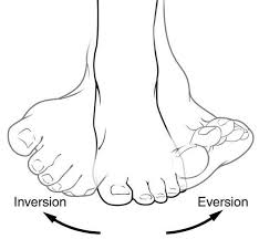 <p>Inversion</p>