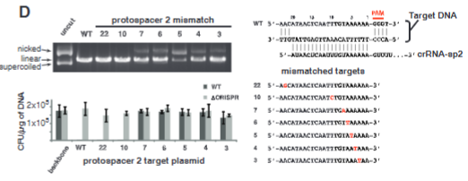<p>explain fig 3D jinik</p>