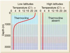 <p>A narrow layer of abrupt temperature change in the ocean and in many temperate-zone lakes.</p>