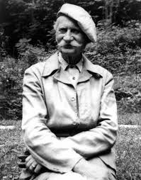 <p>An influential Danish-American landscape architect and conservationist. Known as the "Dean of American Landscape Architecture", he was the leading figure in the <strong>Prairie Style</strong> of landscape design, championing the use of native Midwestern plants, ecological communities, and open, democratic spaces</p>