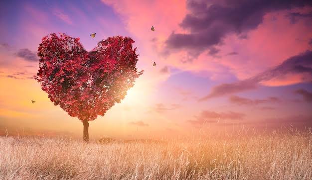 <p>I feel loved</p>