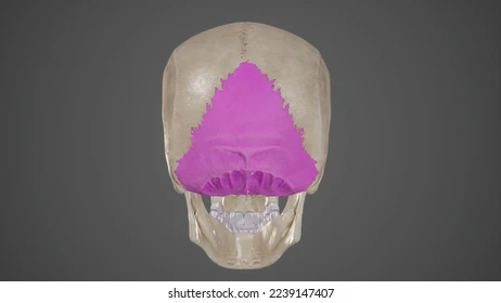 <p>What is this structure?</p>