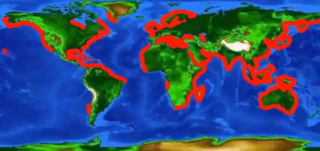 <p>Seagrasses <span style="background-color: transparent;"><span>have adapted to waterlogged soils, saltwater w/changing salinity, shallow/shifting/soft sediments, shifting coastlines, waves. </span></span>50-60 species. Have adapted to live submerged in salty water. Adaptations: deep thick roots w/horizontal branching roots (rhizomes) (better anchor), ribbon-shaped leaves (move easier w/currents), air spaces in leaves (more buoyant → more sun for photosynthesis), excrete salt from their cells (don't dehydrate). Reduce erosion, food (for fish, manatees, seagrass-eating turtles, + invertebrates), nursery, habitat, protection. Found in most of the world. </p>