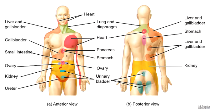 <p>[Image]</p>