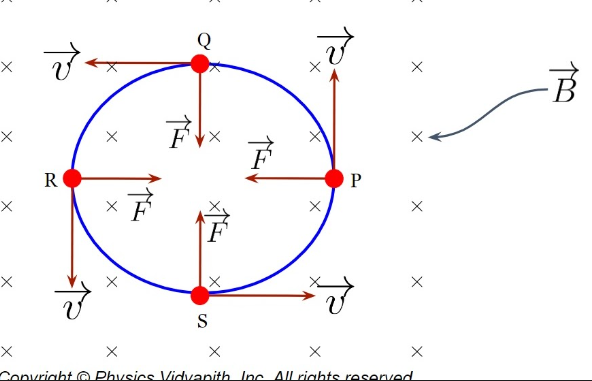 <p>Charged particle in magnetic field (B)</p>