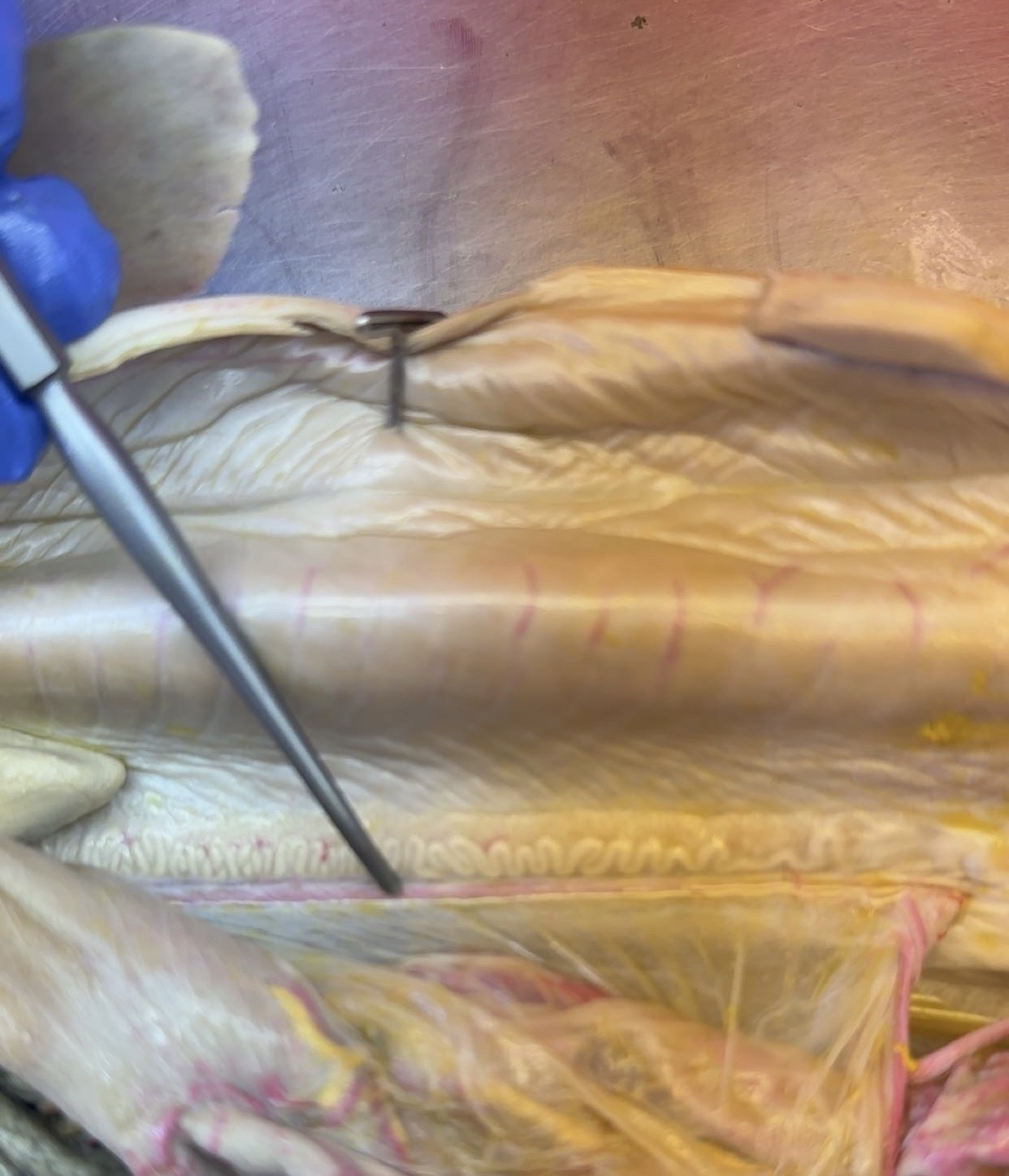 <p>What is this?</p>