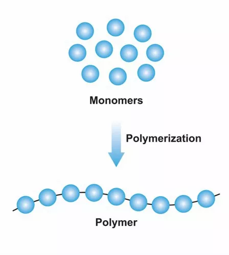 <p>Small, <strong>basic building block</strong> that can chemically bond with similar/ identical molecules that form a larger → <strong><u>polymer</u></strong></p><ul><li><p><strong>there are <u>20</u> standard amino acid monomers for protein</strong></p></li></ul><p></p>