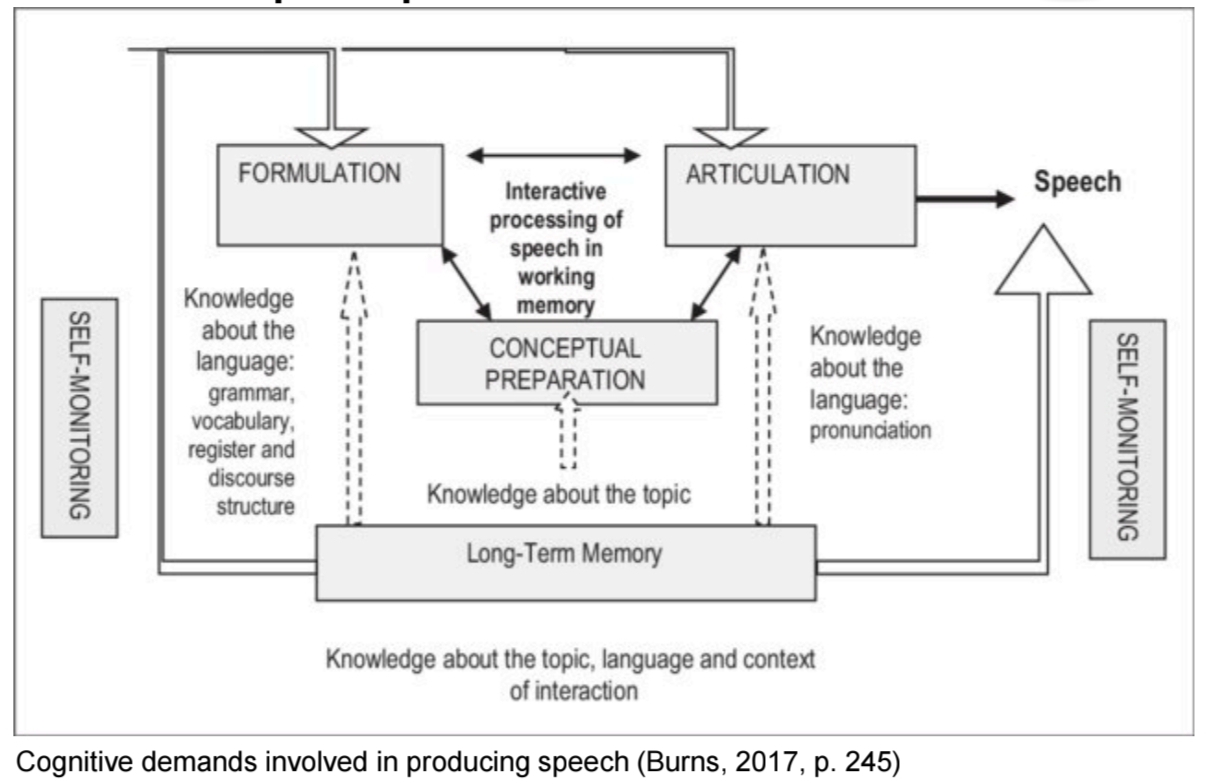 <p>Sprechen finden in Echtzeit statt udn erfordert eine simultane Verarbeitung verschiedener Phasen. <strong>Burns, 2017</strong> hat das Modell von Levelt ergänzt und sieht nun so aus: </p><ol><li><p class="has-focus">Konzeptuelle Vorbereitung: Sprecher plant, was er sagen möchte. Gedanken und Absichten werden geplant und relevante Informationen werden ausgewählt und geordnet. </p></li><li><p class="has-focus">Formulierung: Die Nachricht wird in einem phonetischen Plan umgewandelt. Das Gehirn greift hier auf das mentale Lexikon zu, um passende Wörter auszuwählen und um grammatikalische sowie phonologische Regeln anzuwenden. Diese oft am anspruchvollsten, weil Wortschatz udn Grammatik nicht automatisiert sind. </p></li><li><p class="has-focus">Artikulation: SPrecher nutzt seine Sprechorgane (Lippen, Zunge, Mund, etc) um die Nachricht lautlich zu äußern. </p></li><li><p class="has-focus">Selbstüberwachung: Während oder nach dem Sprechen überprüft der Sprecher seine eigenen Äußerungen. Fehler fallen auf und möglicherweise korrigiert. </p></li></ol><p class="has-focus">Die Stufen können wiederholt auftreten, überlappen und miteinander interagieren während der Sprachproduktion. Vorallem in Zeitdurck können diese Prozesse gleichzeitig stattfinden.  <br><br></p><p></p>