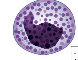 <p>What is this?</p>