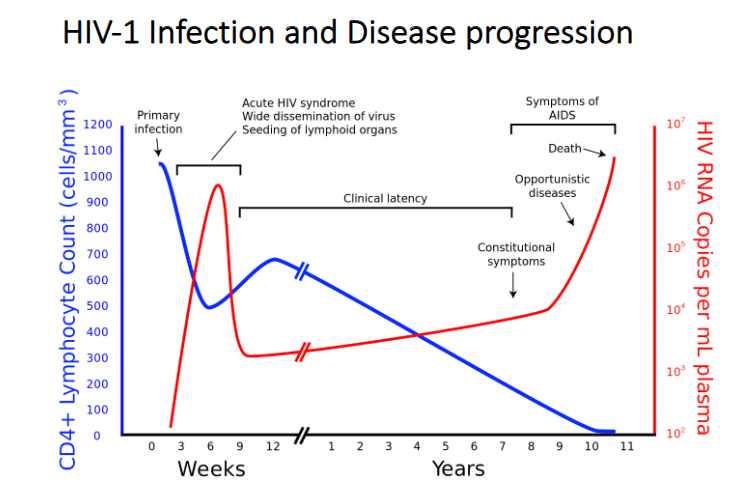<p>- correlation is between Cd4 count and Viral numbers (opposites)</p>