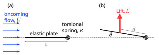 <p>Symmetries are often broken through positive feedback loops.</p><p></p><p><strong>Example of aeroelastic divergence:</strong></p><ul><li><p>If we consider a wing with a centre of lift infront of the torsional center</p></li><li><p>Doing a torque balance: $$T = \underbrace{\frac{1}{2} C_L \rho U^2 c w d \sin \theta \cos \theta}_{\text{Fluid Torque (Destabilizing)}} - \underbrace{\kappa \theta}_{\text{Spring Torque (Restoring)}}$$</p></li><li><p>We can see we get an increasing torque, if: </p></li><li><p>$$\frac{C_L \rho U^2 c w d}{2\kappa} > \frac{\theta}{\sin \theta \cos \theta}$$ </p></li></ul><p></p><p>This was a big issue with early flight.</p><p></p>