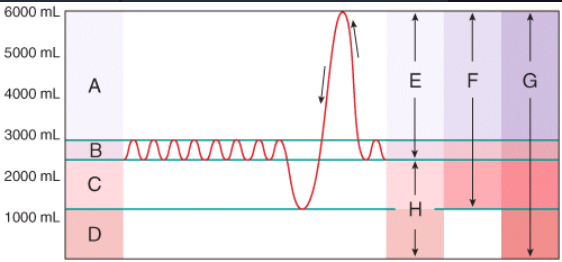 <p>Which area in the figure is the sum of the residual volume and the expiratory reserve volume?</p><p>a) H </p><p>b) A </p><p>c) G </p><p>d) E </p><p>e) F</p>