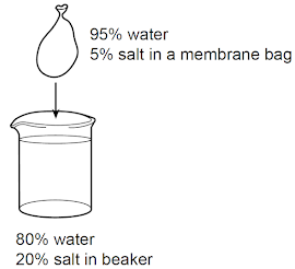 <p><span>In an experiment, a membrane bag containing 95% water and 5% salt was placed in a beaker containing 80% water and 20% salt, as shown below. The setup was put aside until the next day.</span></p>