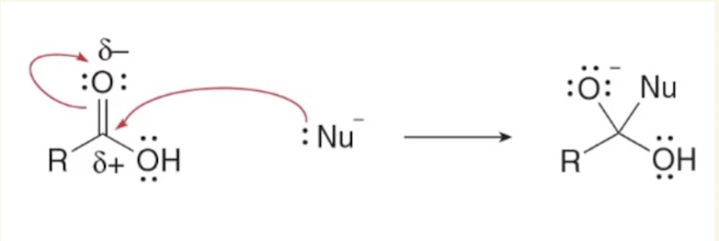 <ul><li><p>Nu attacks Carbon of carbonyl</p></li><li><p>if Nu is good enough base, it will deprotanate the OH instead of doing Nu attack</p></li></ul><p></p>