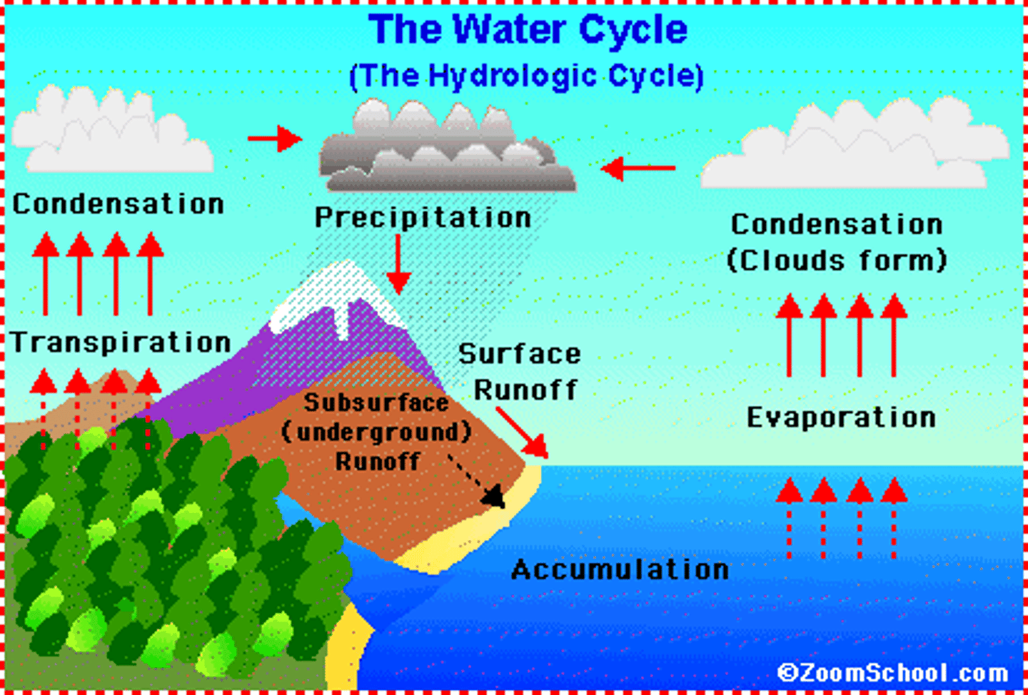 <p>The water cycle, also called the hydrologic cycle, is a continuous circulation of water throughout Earth and Earth's atmosphere.</p><p>• Precipitation is rain and snow.</p><p>• Evaporation is when water turns from a liquid to a gas (water vapor).</p><p>• Condensation is when water vapor turns back into liquid—water collects as droplets on a cold surface when humid air is in contact with it, forming clouds.</p><p>• Transpiration is when plants suck water from roots to the small pores in leaves, releasing the water vapor into the atmosphere.</p>