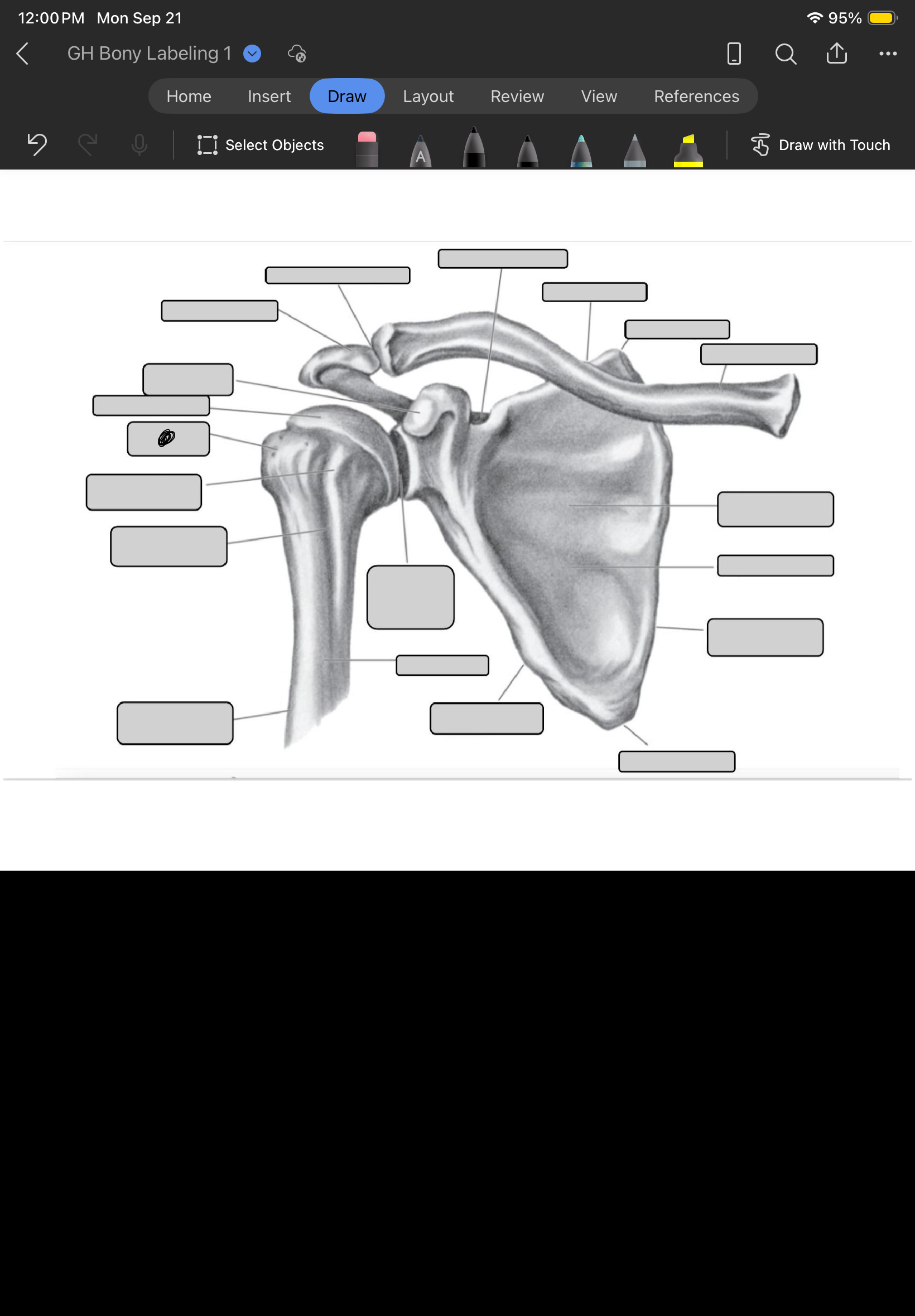 term image