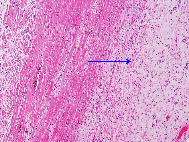 <p>Cấu trúc gì ?</p>