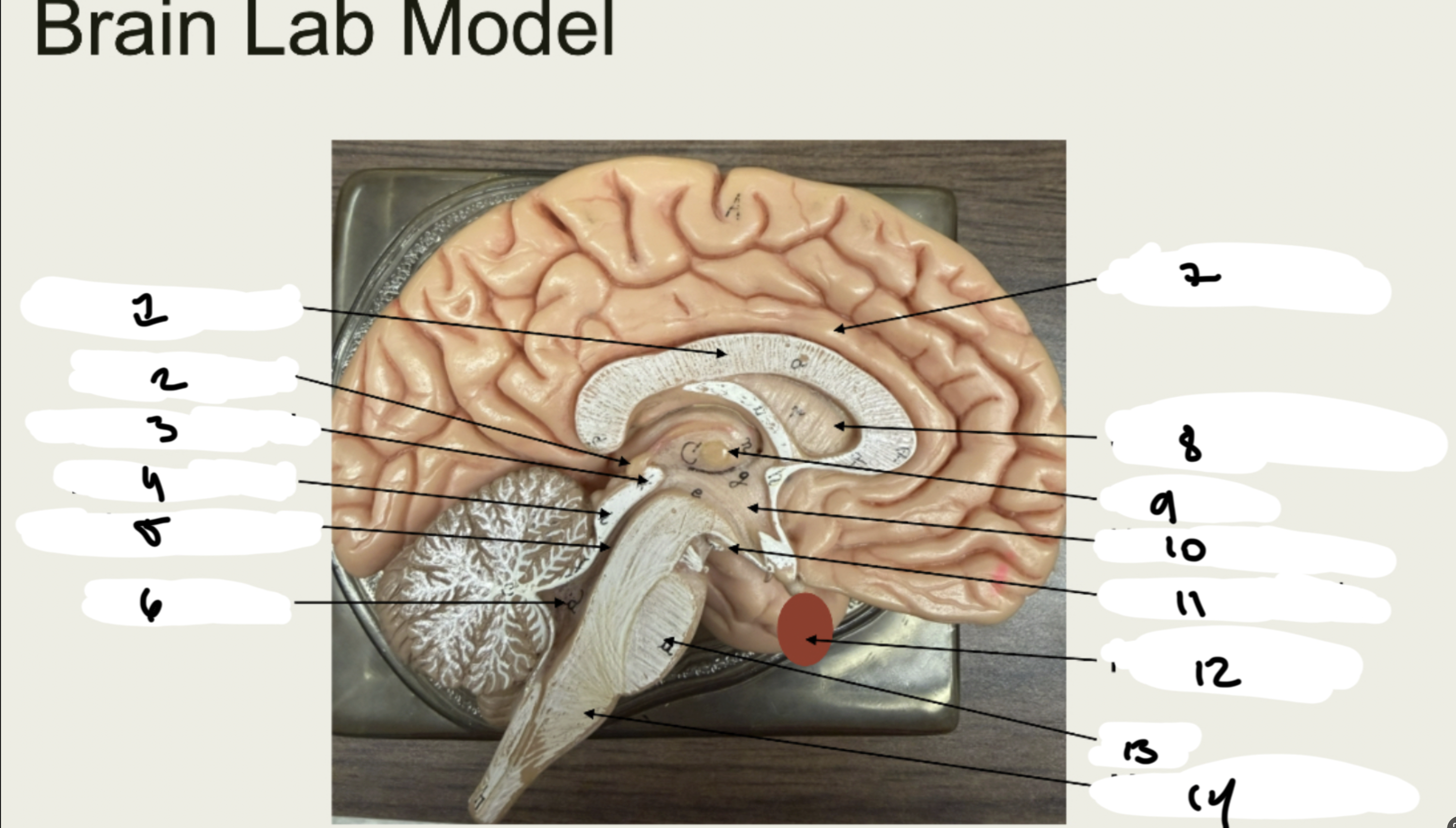 <p>1.XX</p><p>2.XX</p><p>3.XX</p><p>4.XX</p><p>5.XX</p><p>6.XX</p><p>7.XX</p><p>8.XX</p><p>9.XX</p><p>10.XX</p><p>11.XX</p><p>12.XX</p><p>13.XX</p><p>14.XX</p>