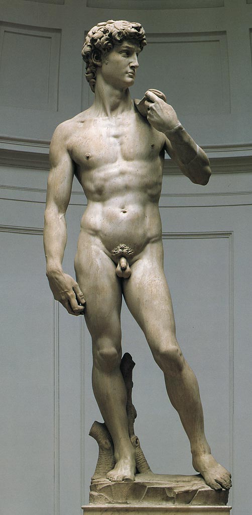 <p>David</p>