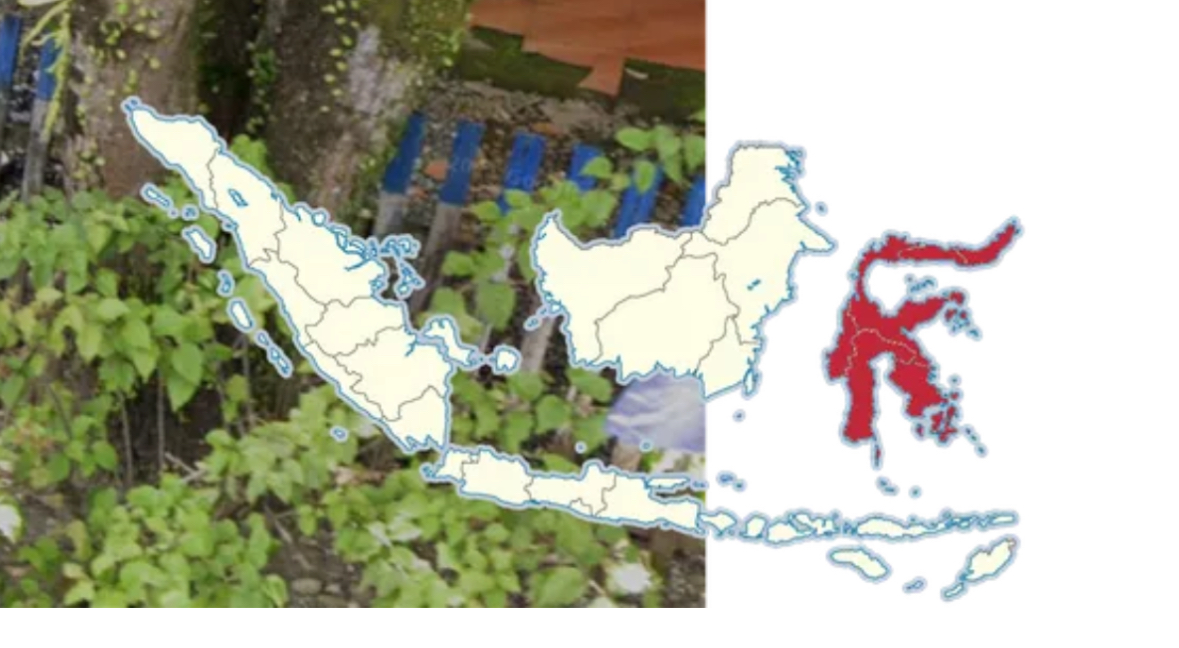 <p>Sulawesi</p>