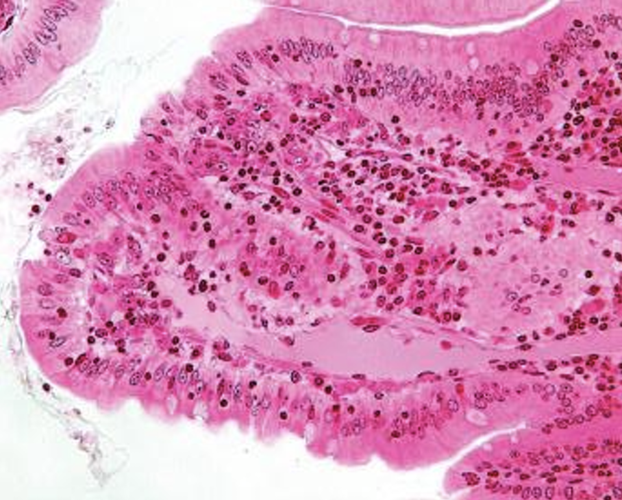 <p>What system is this?</p>