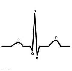 <p>What is P?</p>