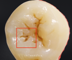 <p>What is the classification?</p>