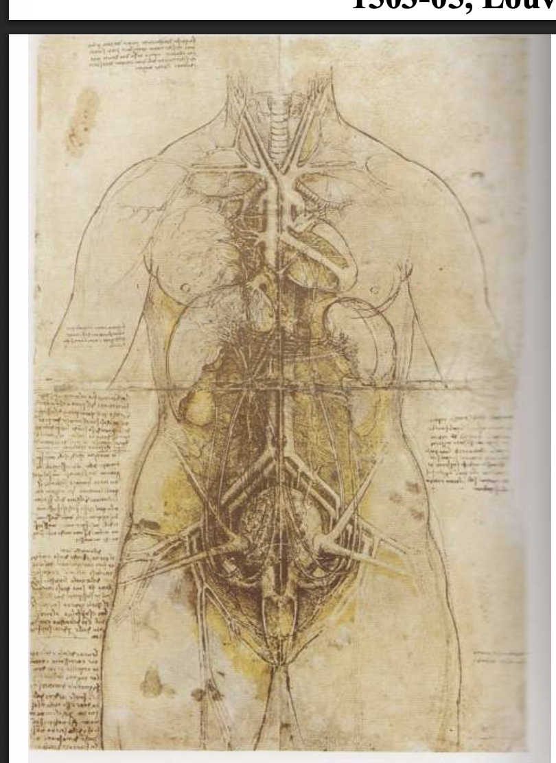 <p>Anatomical Studies </p>
