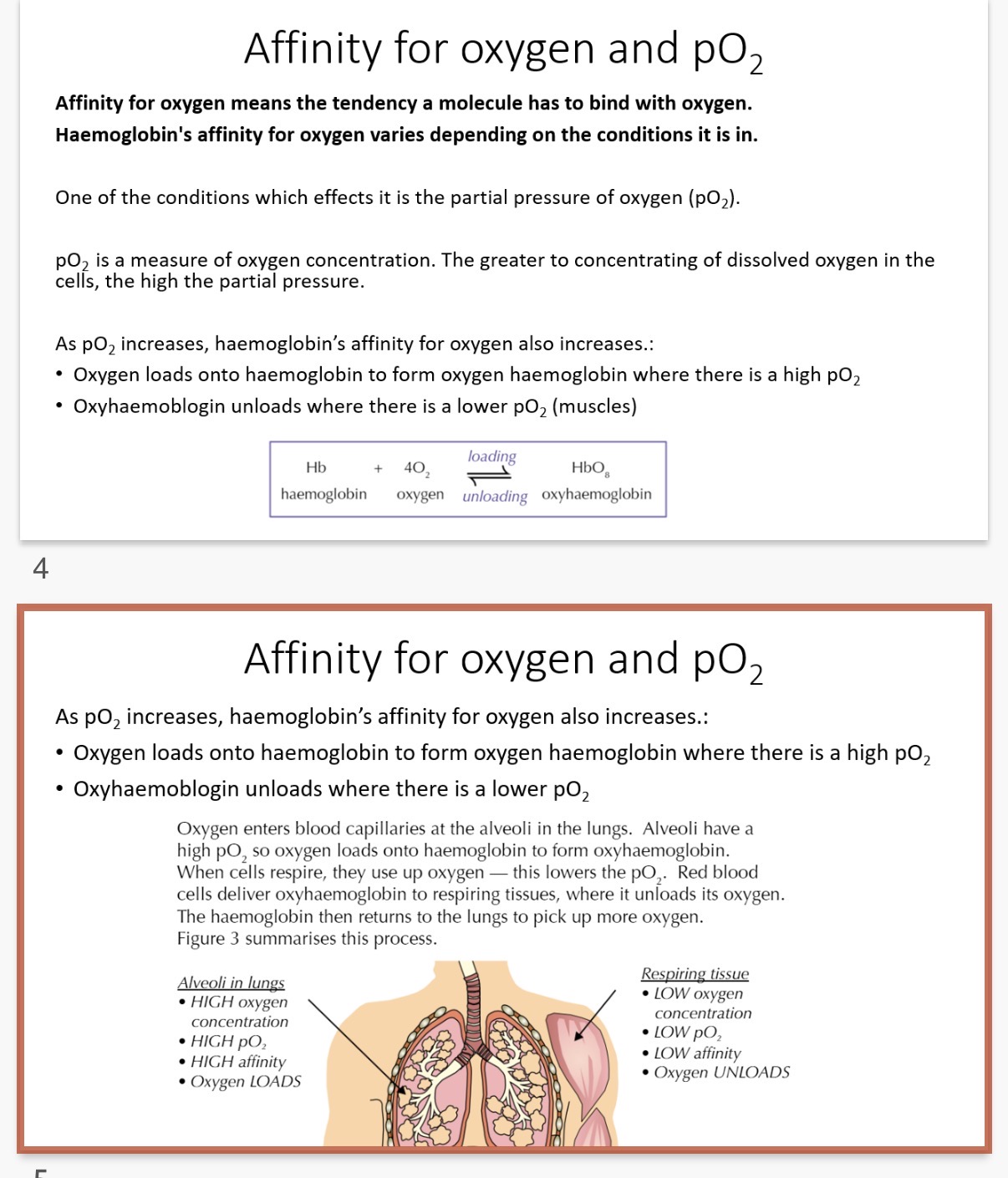 <p><strong>Affinity for oxygen and pO2</strong></p><p>Affinity for oxygen means…1?</p><p>•Haemoglobin's affinity for oxygen varies depending on the conditions it is in.</p><p>One of the conditions which effects it is the partial …2? of oxygen (pO2).</p><ol start="3"><li><p>What is partial pressure? (The greater the concentration of dissolved oxygen in the cells, the …4? the partial pressure)</p></li></ol><p></p><p>•As pO2, increases, haemoglobin's …5? for oxygen also increases.:</p><p>• Oxygen …6? onto haemoglobin to form oxyhaemoglobin where there is a …7? pO2</p><p>• Oxyhaemoglobin unloads where there is a …8? pO2 (muscles)</p><p></p><p>Oxygen enters blood capillaries at the …9? in the lungs. Alveoli have a high …10?, so oxygen …11? onto haemoglobin to form oxyhaemoglobin. When cells respire, they use up oxygen — this …12? the pO2.</p><p>Red blood cells deliver oxyhaemoglobin to …13? tissues, where it unloads its oxygen.</p><p>The haemoglobin then returns to the lungs to pick up more oxygen.</p><p>Note:(Figure 3 summarises this process.)</p><p></p><ol start="14"><li><p>Why do respiring muscle tissues have low pO2?</p><p> • Note: As pO2 increases, the saturation of haemoglobin increases.</p></li></ol><p></p>