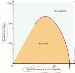<p>When looking at the following graph of a human contrast sensitivity function, what is the x-axis?</p>