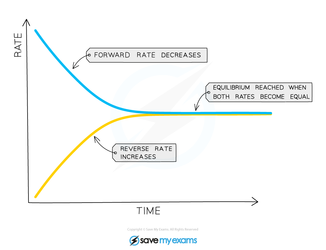 <ul><li><p>At the start of the reaction, only nitrogen and hydrogen are present</p><ul><li><p>This means that the rate of the forward reaction is at its <strong>highest</strong>, since the <strong>concentrations</strong> of hydrogen and nitrogen are at their <strong>highest</strong></p></li></ul></li><li><p>As the reaction proceeds, the <strong>concentrations </strong>of hydrogen and nitrogen gradually <strong>decrease</strong></p><ul><li><p>So, the rate of the forward reaction will <strong>decrease</strong></p></li></ul></li><li><p>However, the concentration of ammonia is gradually increasing and so the rate of the <strong>backward</strong> reaction will increase</p><ul><li><p>Ammonia will decompose to reform hydrogen and nitrogen</p></li></ul></li><li><p>In a closed system, the two reactions are interlinked and none of the gases can escape</p></li><li><p>So, the rate of the forward reaction and the rate of the backward reaction will eventually become<strong> equal</strong> and equilibrium is reached</p></li></ul><p></p>