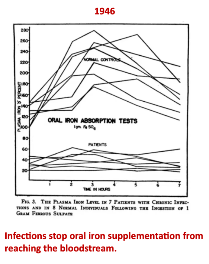 <p>Infections stop oral iron supplementation from reaching the bloodstream because…</p>